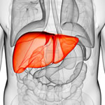 NIHR and BSG launch top 10 research priorities for alcohol-related liver disease